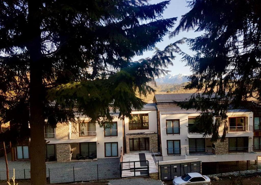 R&R Vibes Apartment Villa La Angostura Exterior photo